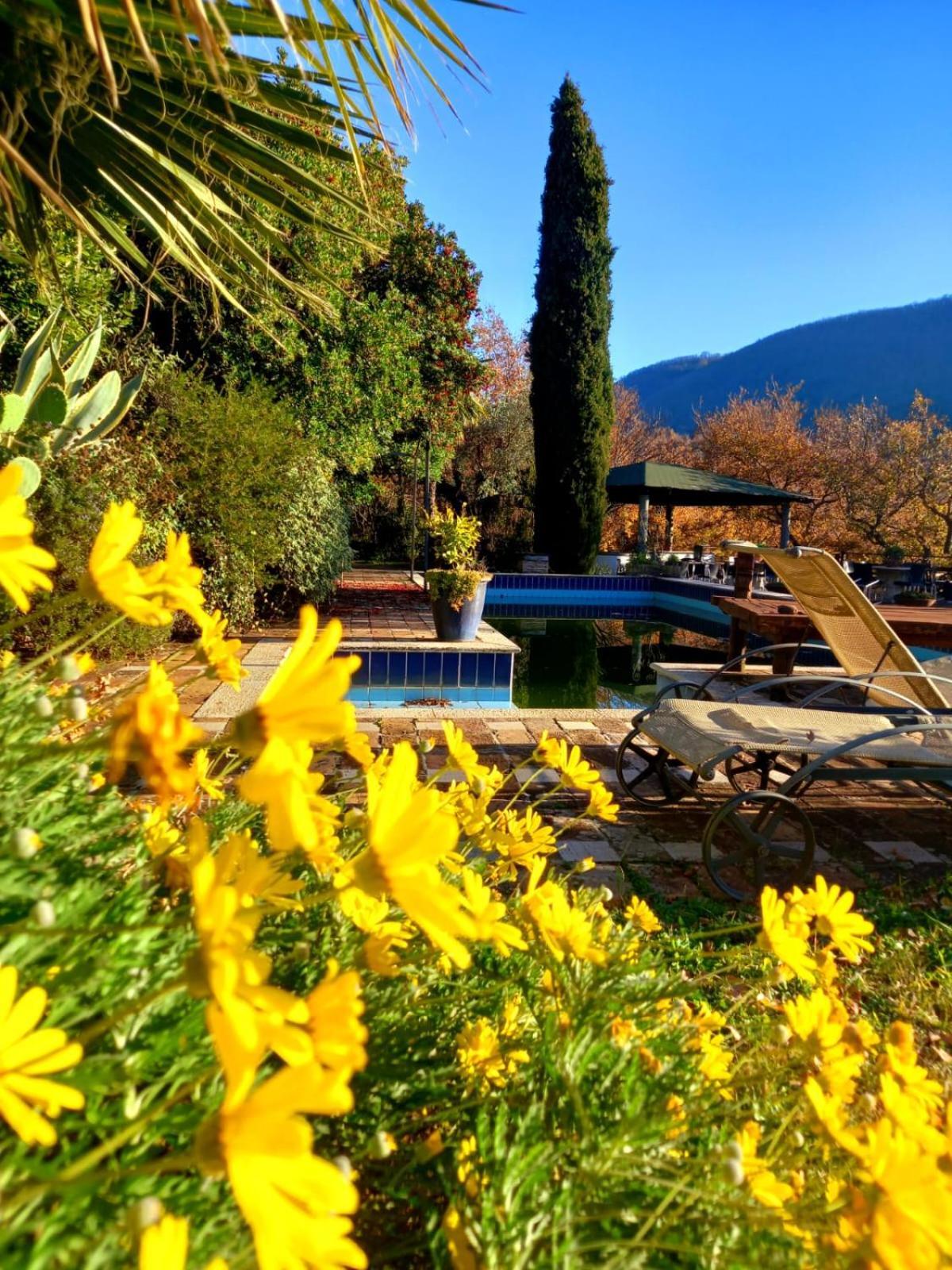 Bed and Breakfast La Chiesuola Bagnaia  Экстерьер фото