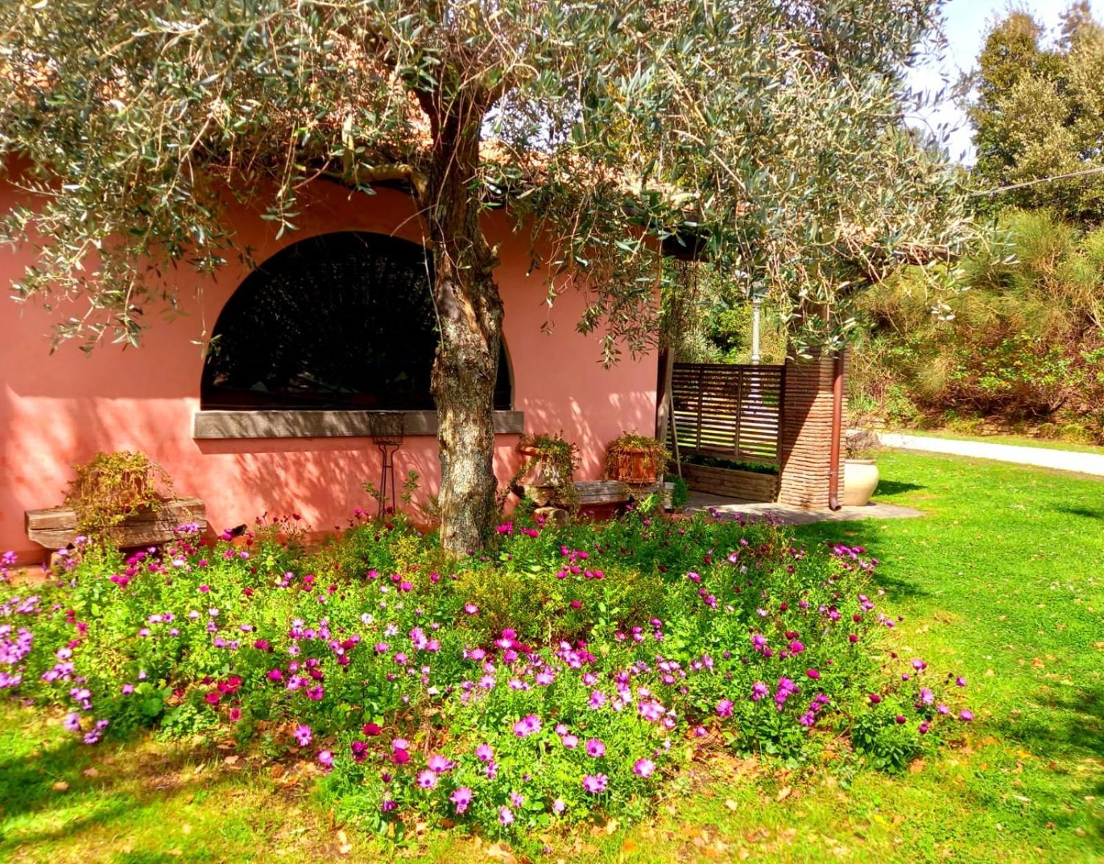Bed and Breakfast La Chiesuola Bagnaia  Экстерьер фото