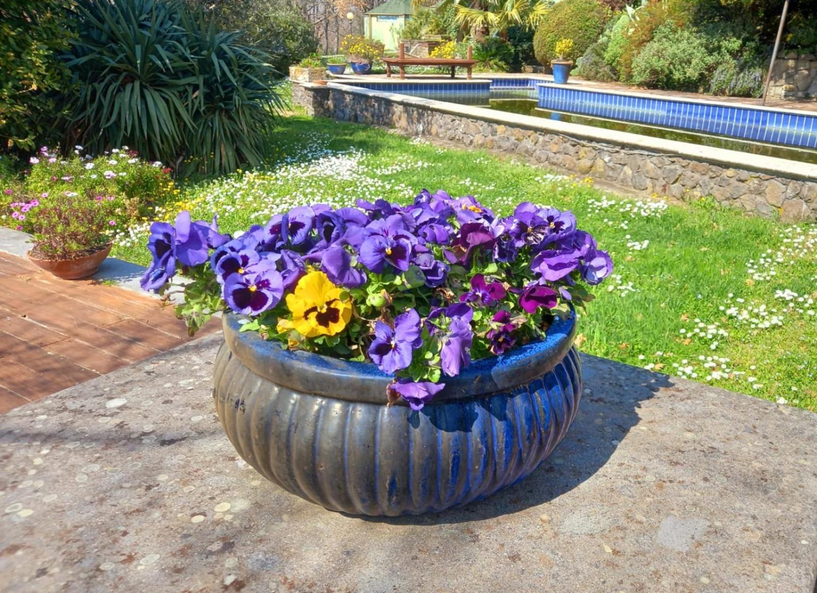 Bed and Breakfast La Chiesuola Bagnaia  Экстерьер фото