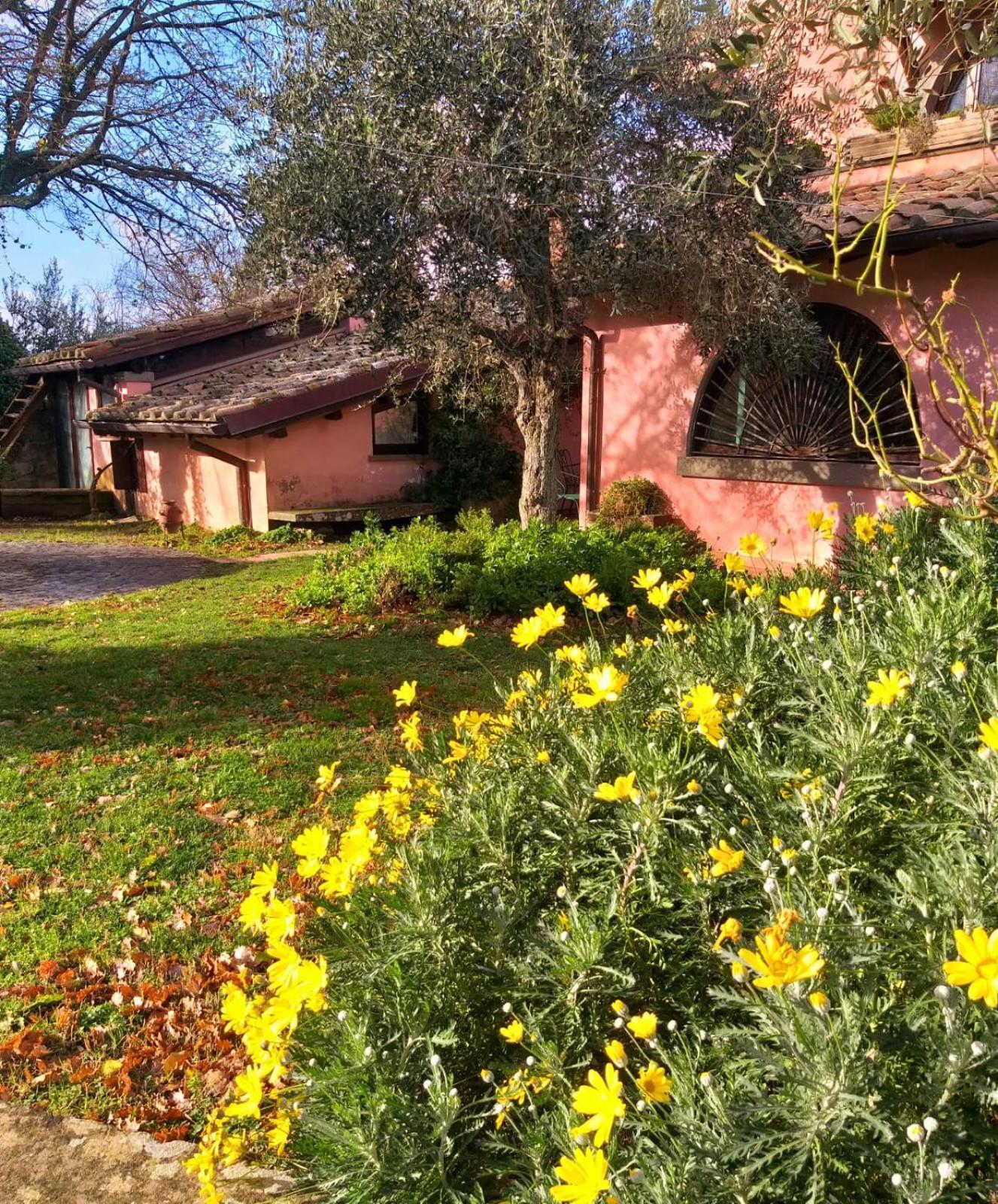 Bed and Breakfast La Chiesuola Bagnaia  Экстерьер фото